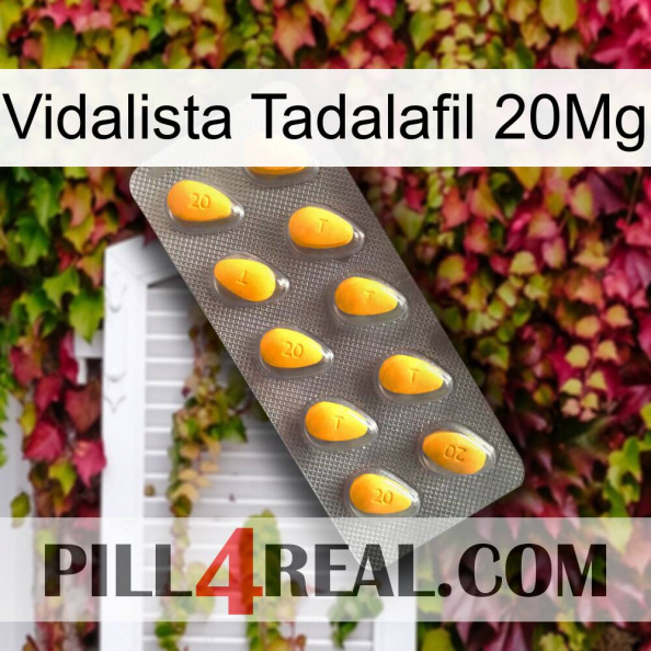 Vidalista Tadalafil 20Mg cialis1